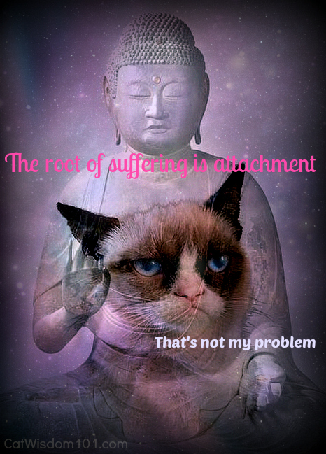 Grumpy Cat Buddha